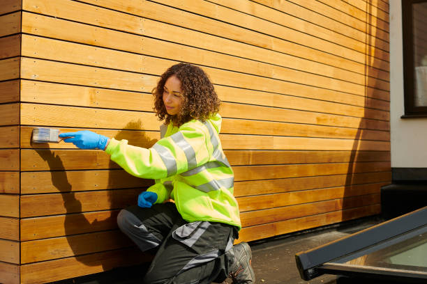 Best Custom Siding Design  in Caro, MI